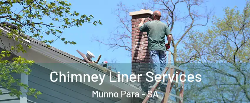 Chimney Liner Services Munno Para - SA
