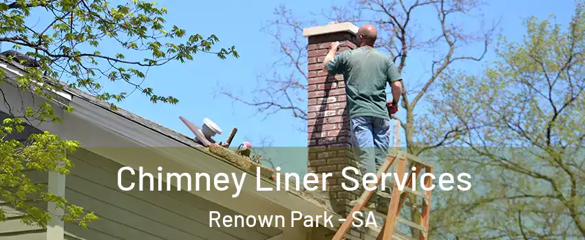 Chimney Liner Services Renown Park - SA