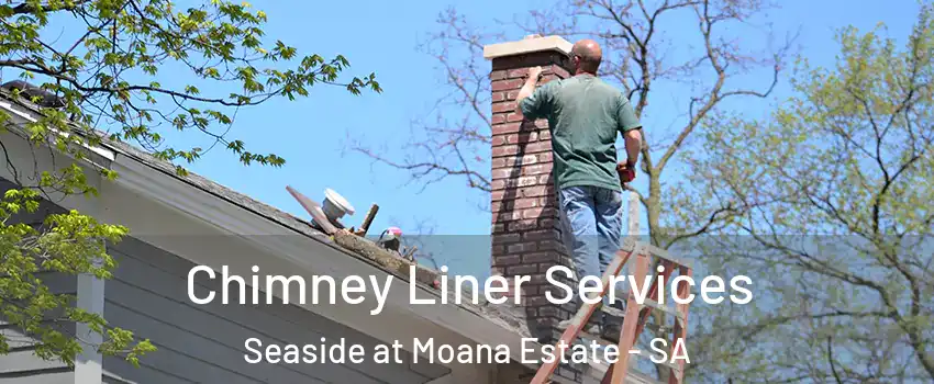 Chimney Liner Services Seaside at Moana Estate - SA