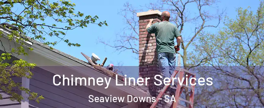 Chimney Liner Services Seaview Downs - SA