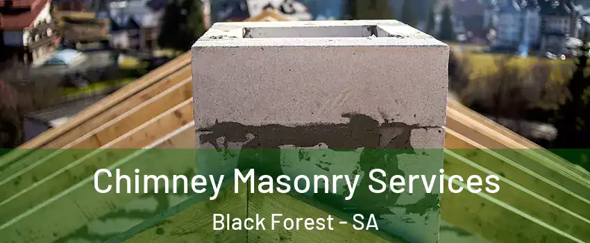 Chimney Masonry Services Black Forest - SA