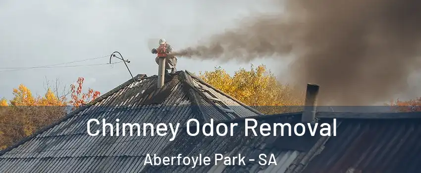 Chimney Odor Removal Aberfoyle Park - SA