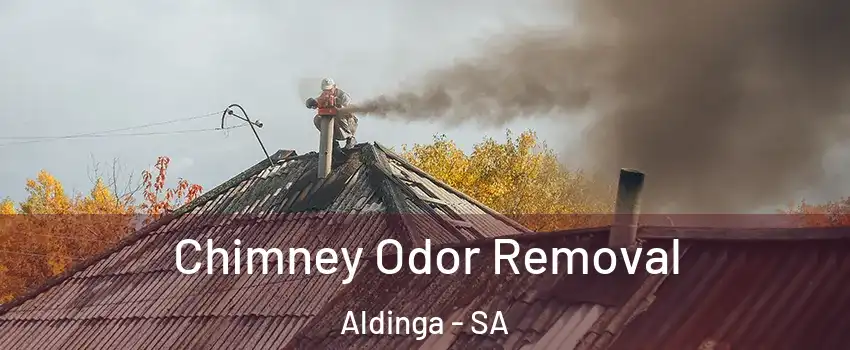  Chimney Odor Removal Aldinga - SA