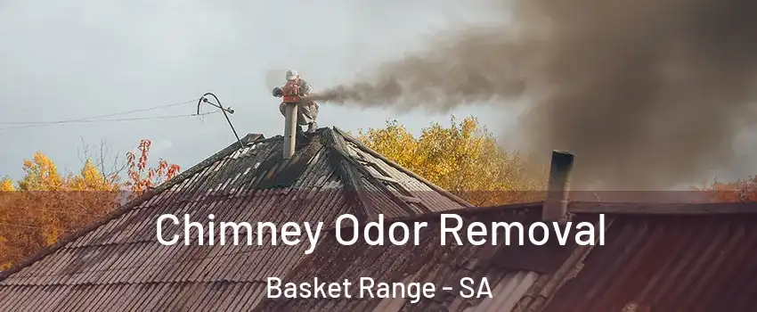  Chimney Odor Removal Basket Range - SA