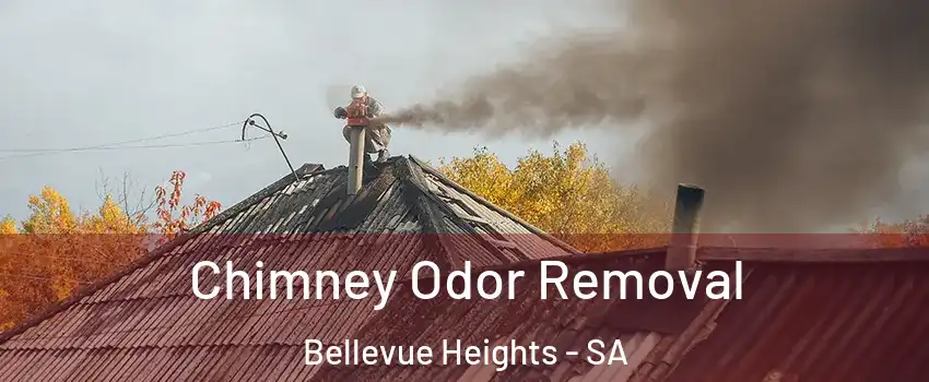Chimney Odor Removal Bellevue Heights - SA