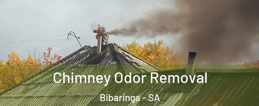 Chimney Odor Removal Bibaringa - SA