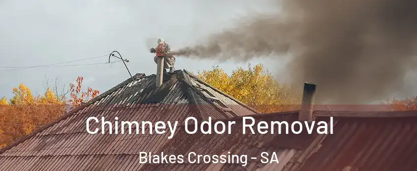 Chimney Odor Removal Blakes Crossing - SA