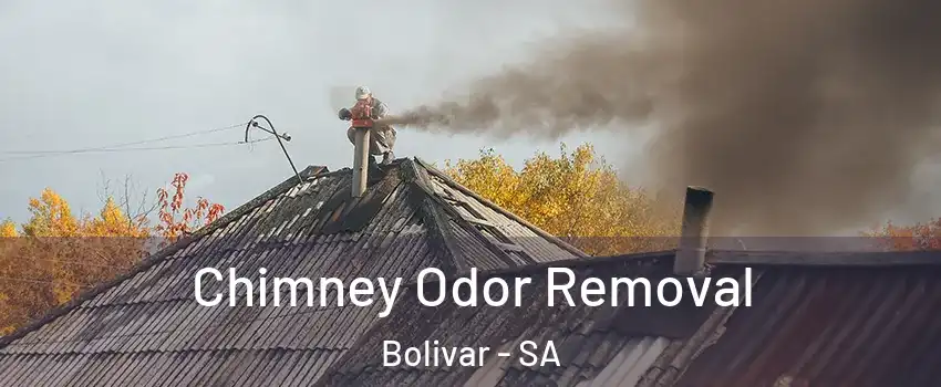 Chimney Odor Removal Bolivar - SA