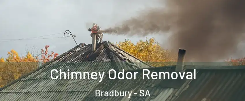 Chimney Odor Removal Bradbury - SA