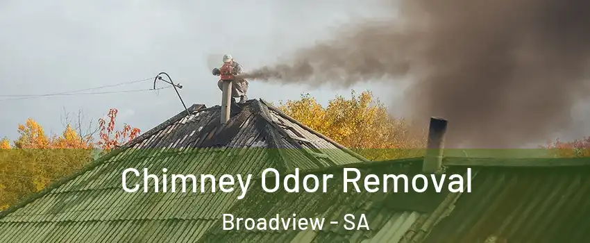 Chimney Odor Removal Broadview - SA