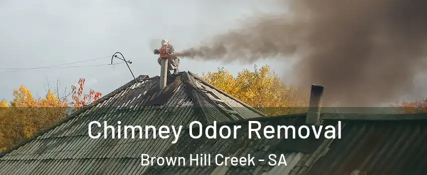 Chimney Odor Removal Brown Hill Creek - SA
