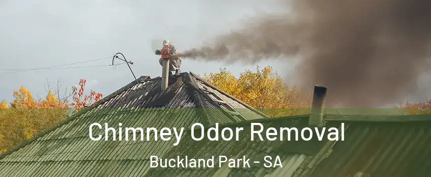 Chimney Odor Removal Buckland Park - SA
