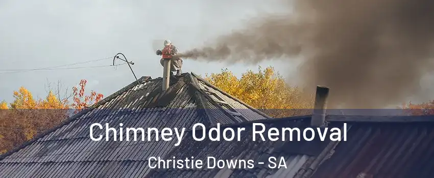 Chimney Odor Removal Christie Downs - SA