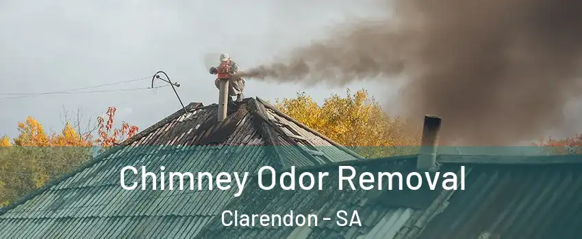 Chimney Odor Removal Clarendon - SA