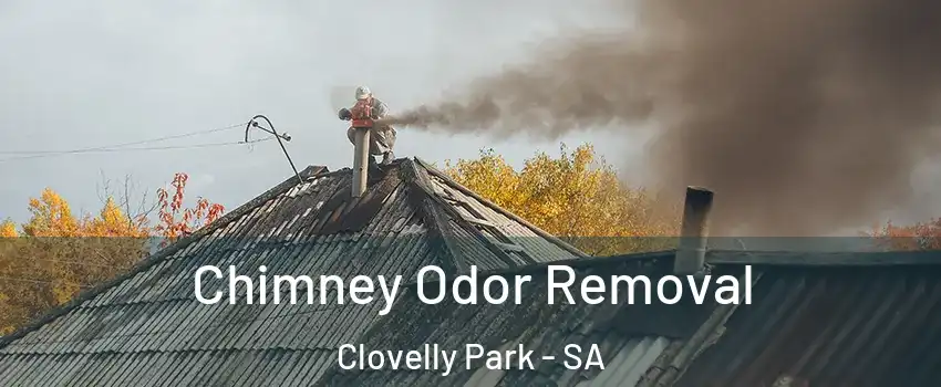 Chimney Odor Removal Clovelly Park - SA