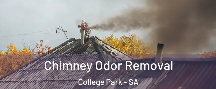 Chimney Odor Removal College Park - SA