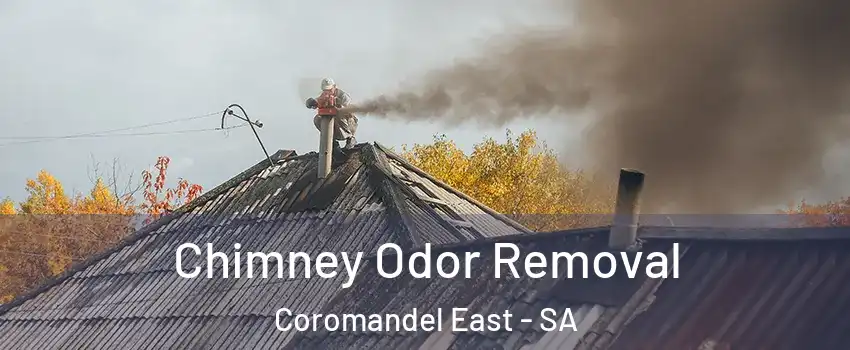 Chimney Odor Removal Coromandel East - SA