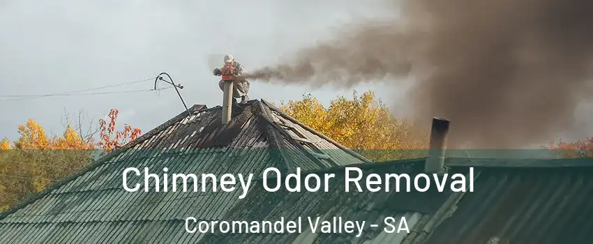 Chimney Odor Removal Coromandel Valley - SA