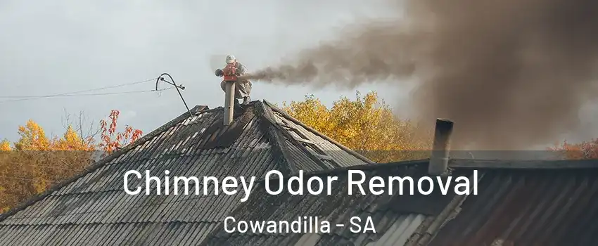 Chimney Odor Removal Cowandilla - SA