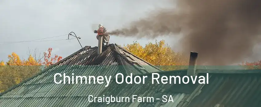 Chimney Odor Removal Craigburn Farm - SA