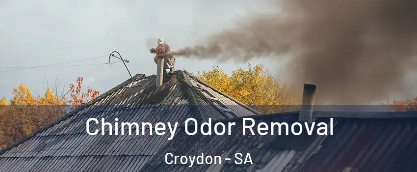 Chimney Odor Removal Croydon - SA