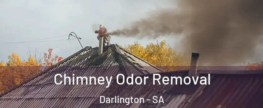 Chimney Odor Removal Darlington - SA
