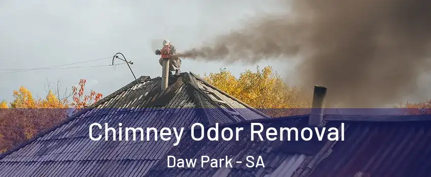 Chimney Odor Removal Daw Park - SA