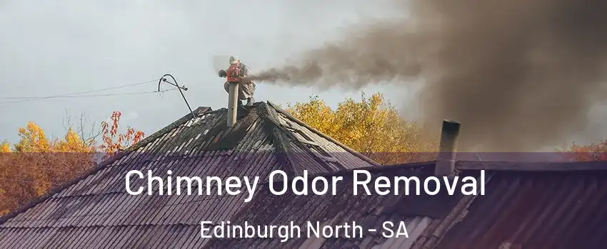  Chimney Odor Removal Edinburgh North - SA