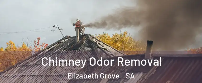 Chimney Odor Removal Elizabeth Grove - SA
