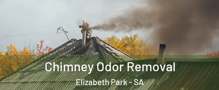 Chimney Odor Removal Elizabeth Park - SA