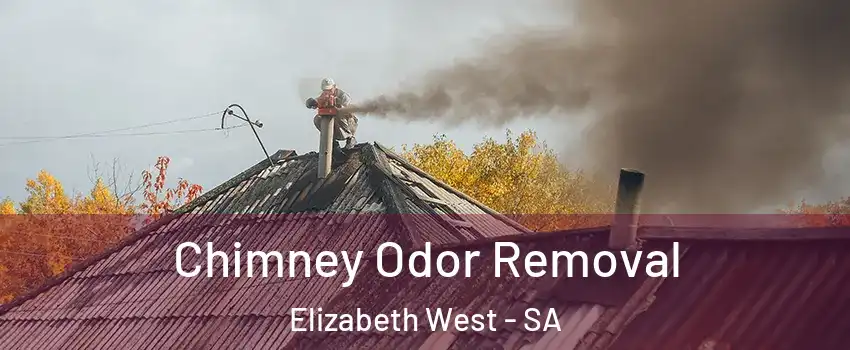 Chimney Odor Removal Elizabeth West - SA