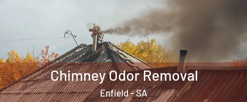  Chimney Odor Removal Enfield - SA