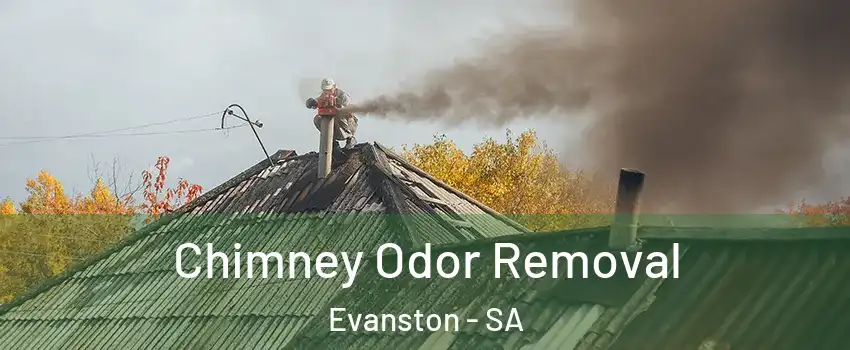 Chimney Odor Removal Evanston - SA