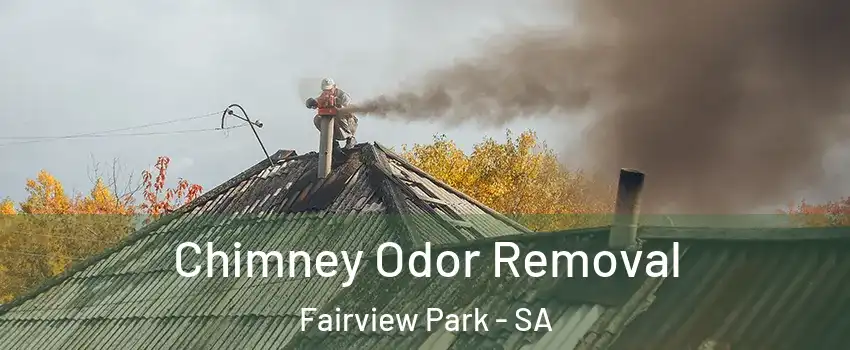 Chimney Odor Removal Fairview Park - SA