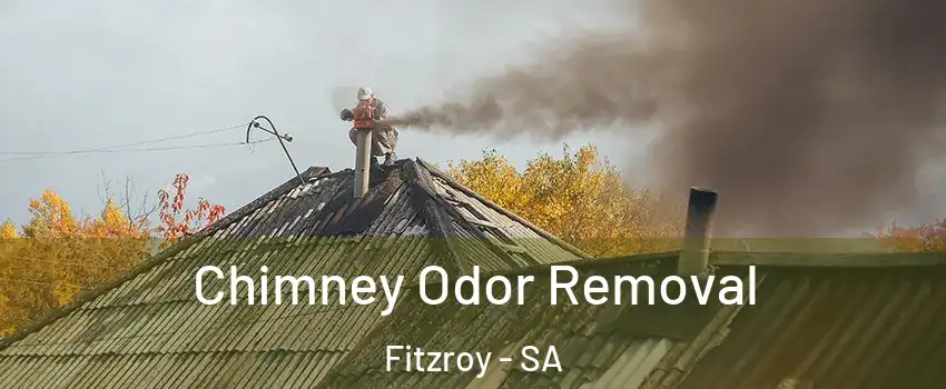  Chimney Odor Removal Fitzroy - SA