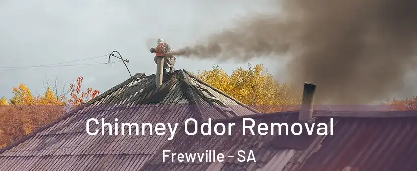  Chimney Odor Removal Frewville - SA