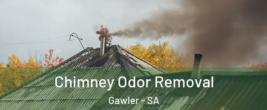 Chimney Odor Removal Gawler - SA