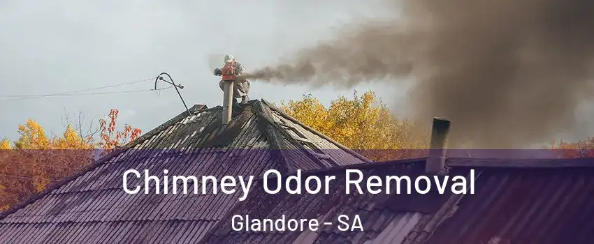  Chimney Odor Removal Glandore - SA