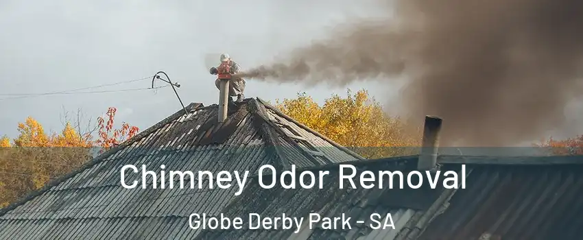 Chimney Odor Removal Globe Derby Park - SA