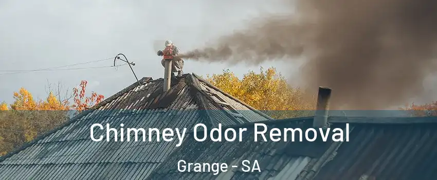Chimney Odor Removal Grange - SA