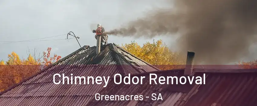 Chimney Odor Removal Greenacres - SA