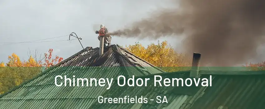 Chimney Odor Removal Greenfields - SA