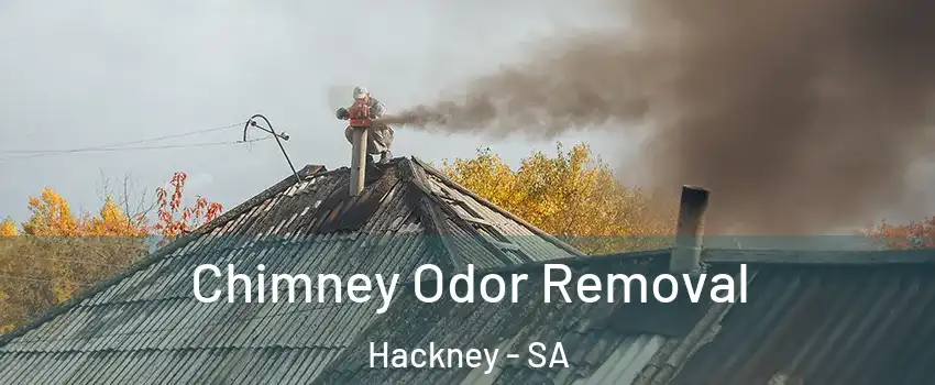 Chimney Odor Removal Hackney - SA