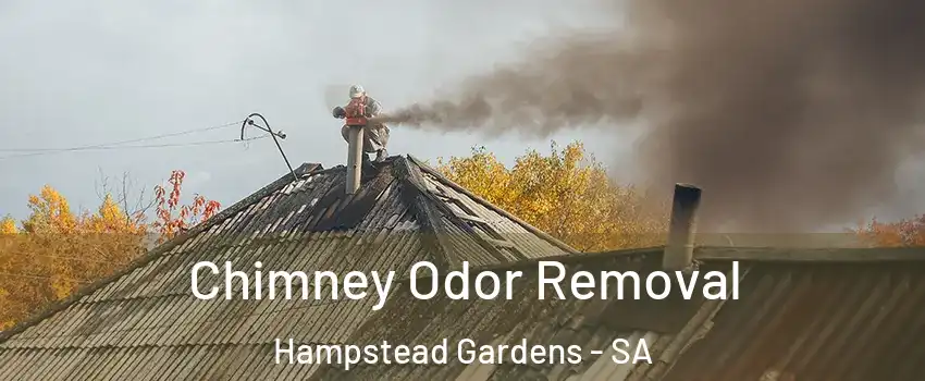 Chimney Odor Removal Hampstead Gardens - SA