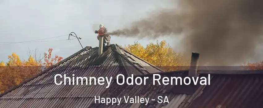 Chimney Odor Removal Happy Valley - SA