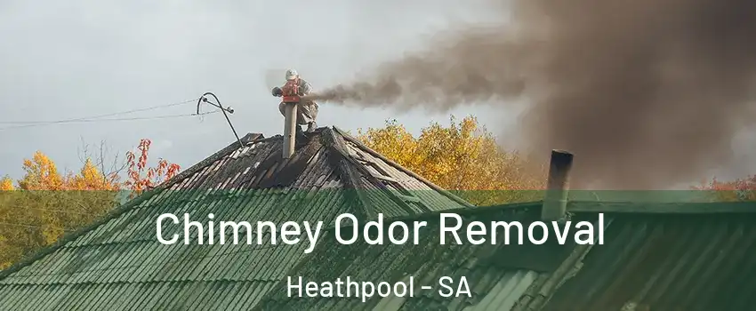  Chimney Odor Removal Heathpool - SA