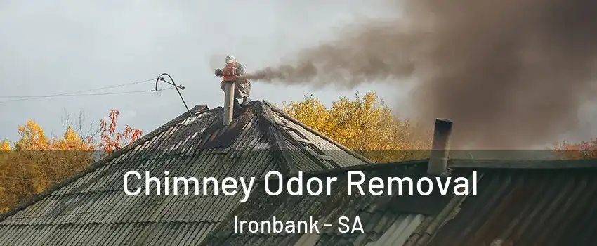 Chimney Odor Removal Ironbank - SA