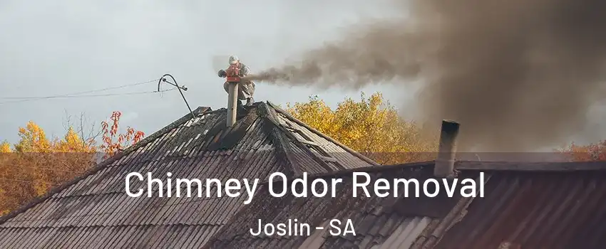 Chimney Odor Removal Joslin - SA