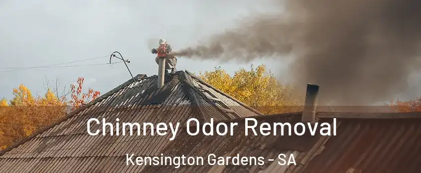 Chimney Odor Removal Kensington Gardens - SA