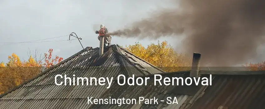 Chimney Odor Removal Kensington Park - SA
